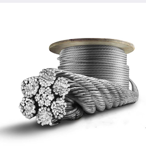 3mm 7*7 10mm 19*7 6*36 6*29 Galvanized Steel Wire Rope