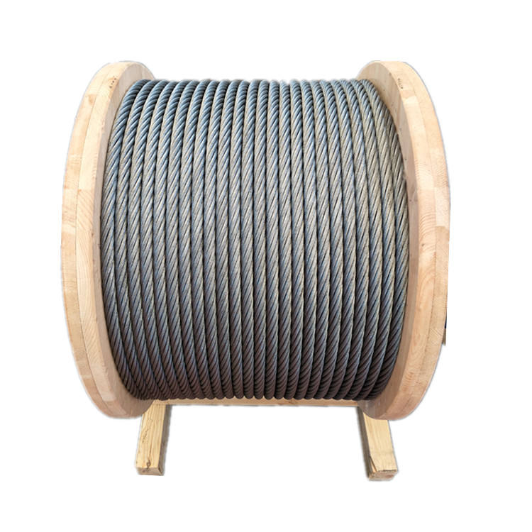 Factory Wholesale Hot Sale Steel Wire Rope For Spring